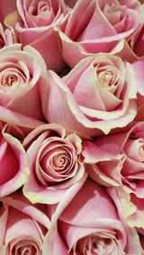 Bouquet di Rose - PianteFioriShop